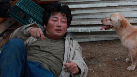 거북이달린다, 영화 속 주인공 김윤석을 개도 한심하게 보고 있는 장면